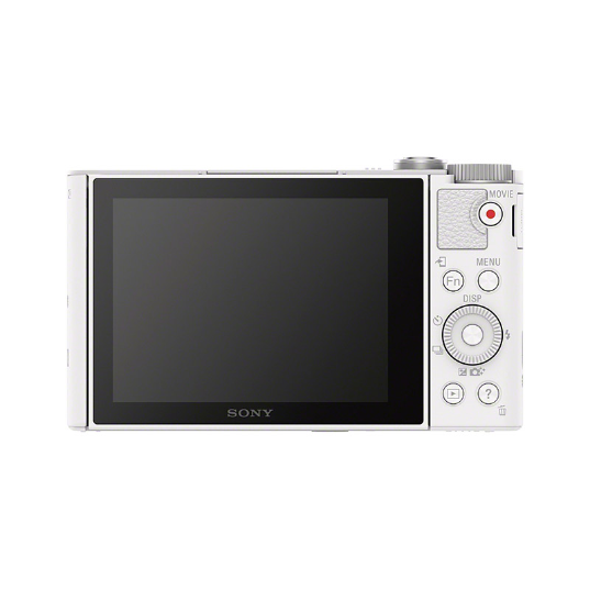 DSC-WX500