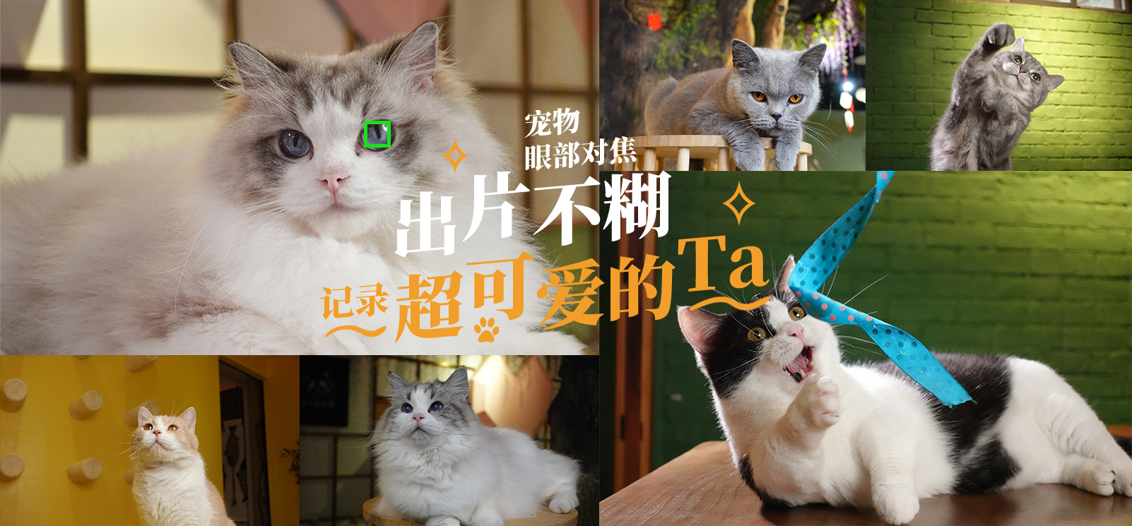 照片墙样照欣赏