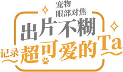 照片墙样照欣赏