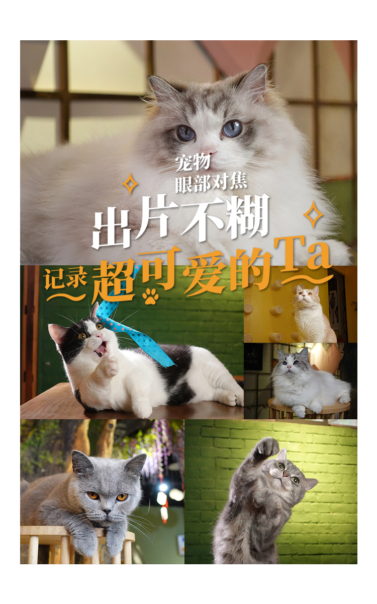 照片墙样照欣赏