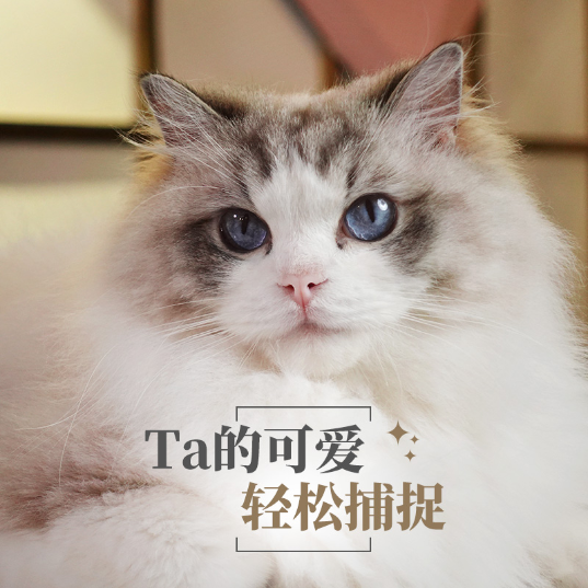 ZV-1 入门数码相机 口袋相机  美肤高颜值 小巧大变焦 24-70mm F1.8-2.8大光圈蔡司镜头 Vlog相机 黑色 - 产品图