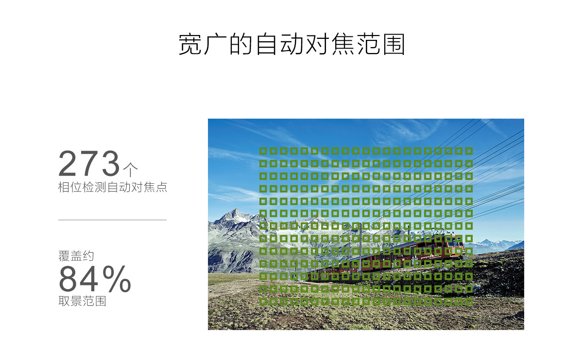 宽广的自动对焦范围