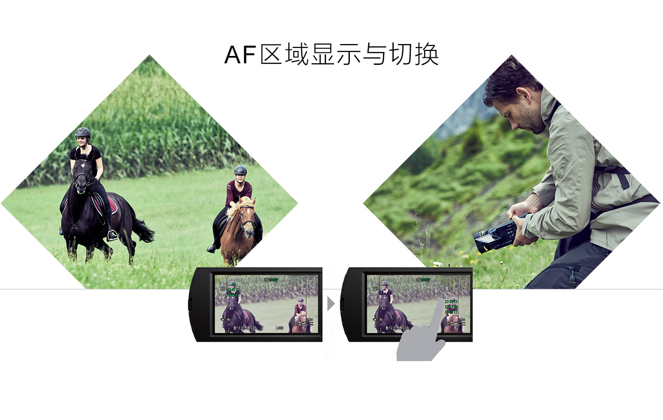 AF区域显示和切换展示