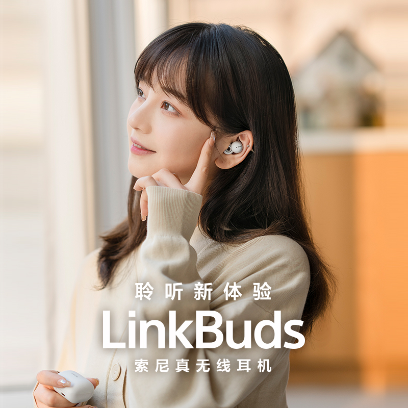 LinkBuds