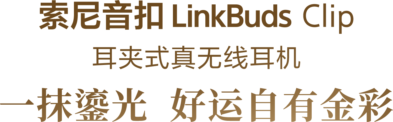LinkBuds Clip