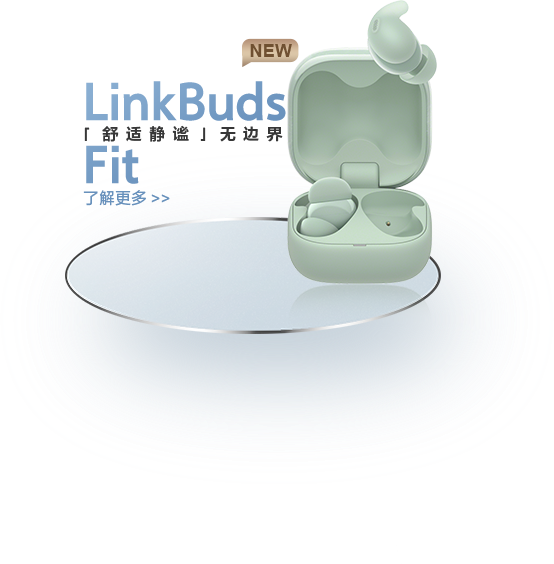 LinkBuds Open