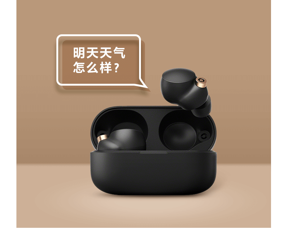 智能语音助手