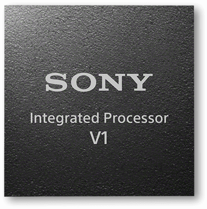 集成处理器V1
