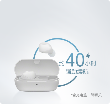 WF0-C710真无线降噪蓝牙耳机