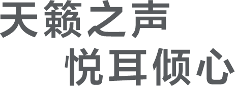 “WF0-C710真无线降噪蓝牙耳机“