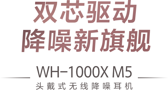 wh-1000x_m5