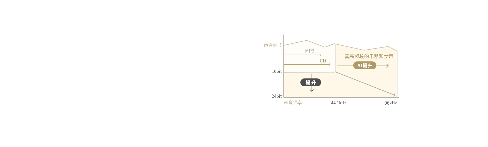 wh-1000x m5