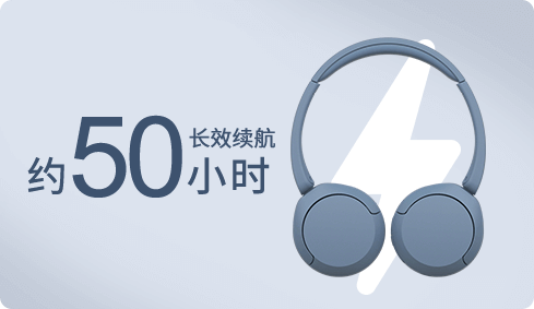 WH-CH520舒适高效头戴式耳机