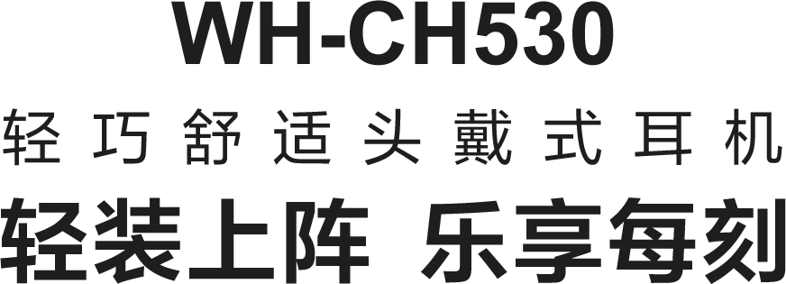 WH-CH530 轻巧舒适头戴耳机