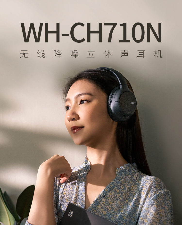 WH-CH710N