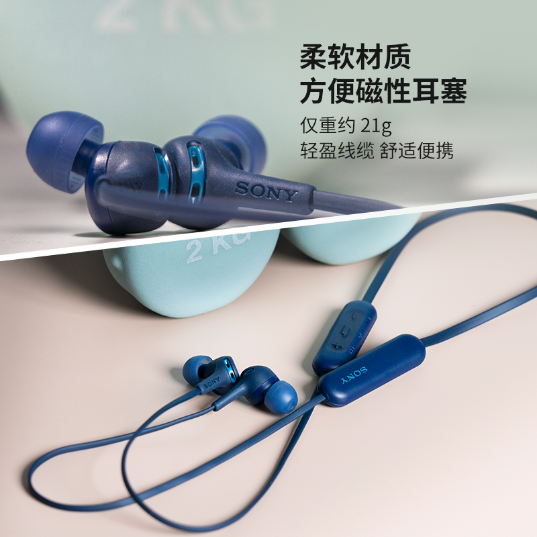 索尼(Sony)耳机(WI-XB400/LZ)_3