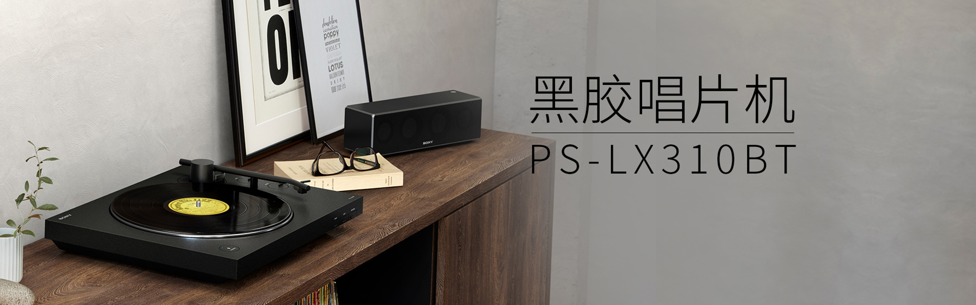 PS-LX310BT