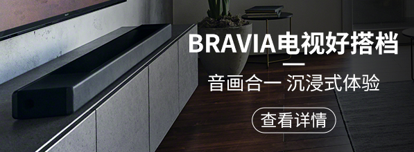 BRAVIA电视好搭档