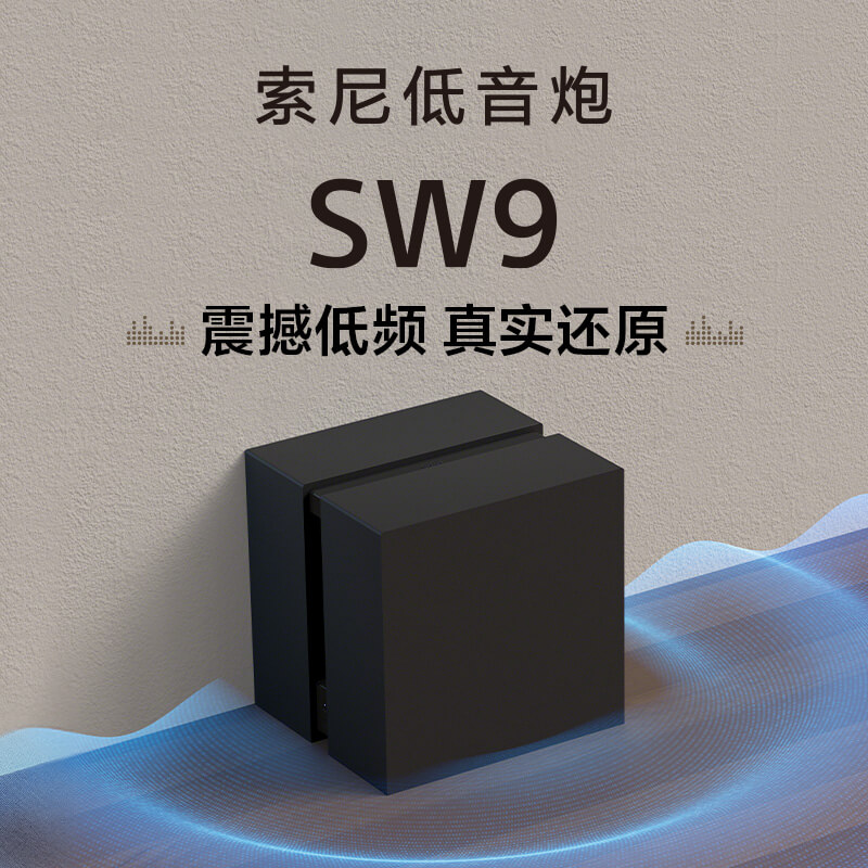 SA-SW9 索尼低音炮