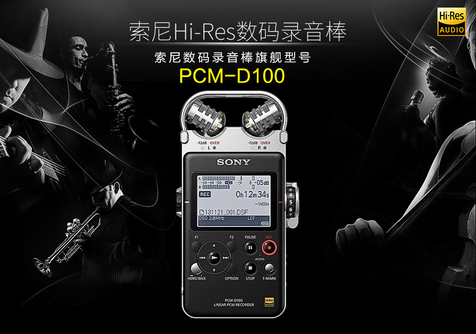 PCM-D100