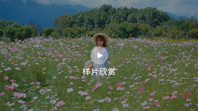 样照和播放按钮