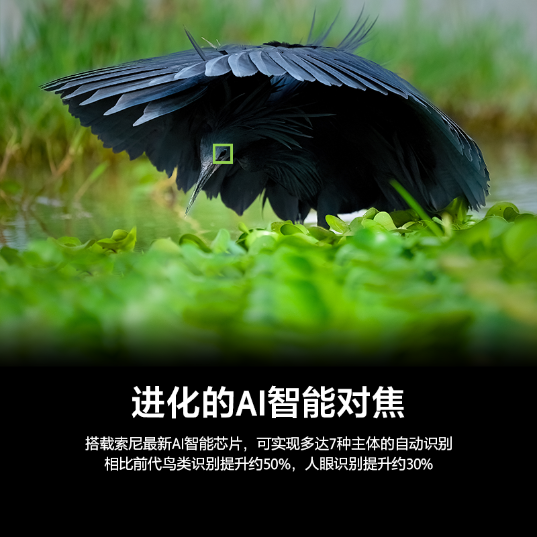 Alpha 1 II  新一代全画幅微单™旗舰(ILCE-1M2/α1 II) - 产品图