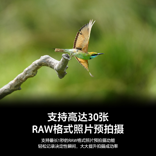 Alpha 1 II  新一代全画幅微单™旗舰(ILCE-1M2/α1 II) - 产品图