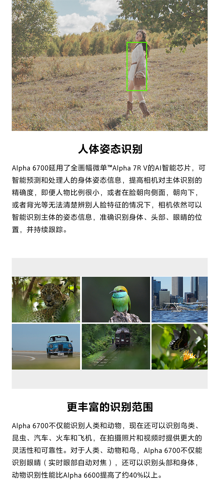 Alpha 6700