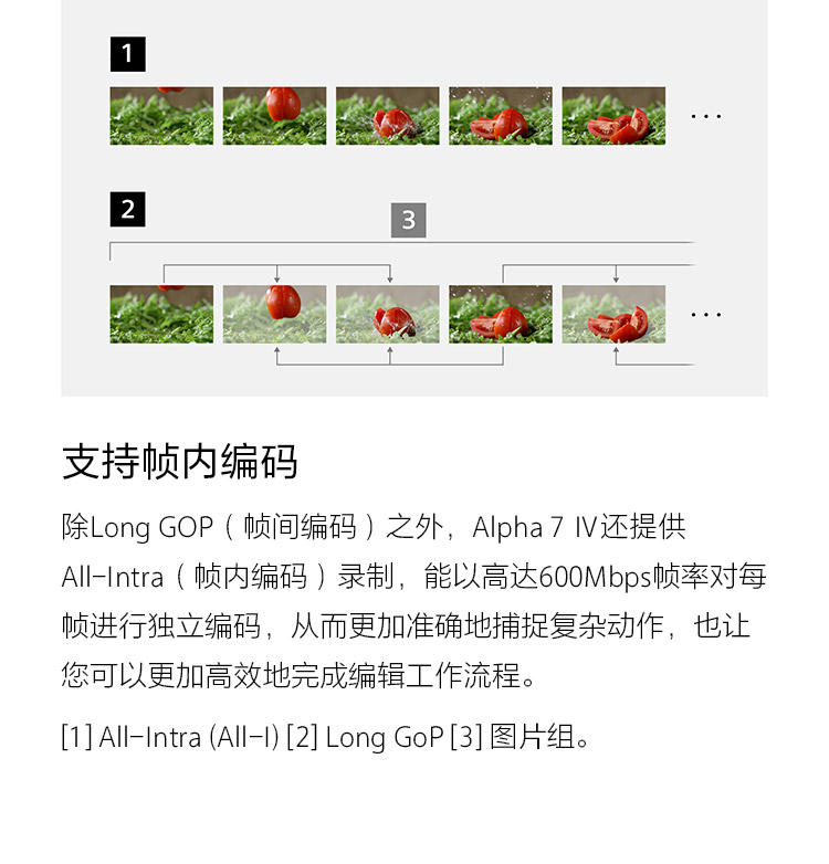 支持帧内编码