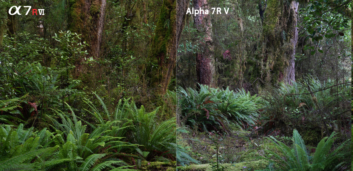 Alpha 7R VI