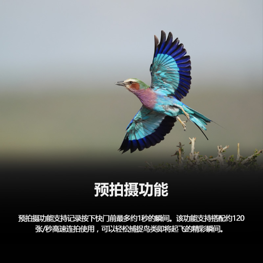 Alpha 9 III 新一代全画幅微单™速度旗舰 (ILCE-9M3/α9 III） - 产品图