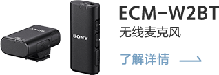ECM-W2BT 无线麦克风