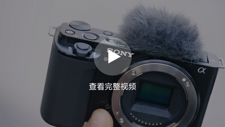 视频样照