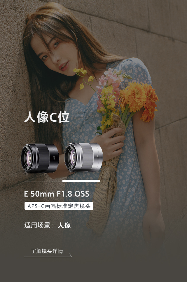 样照