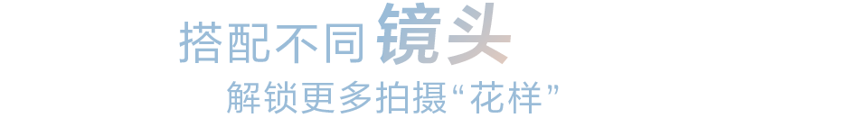 搭配不同镜头 解锁更多拍摄花样