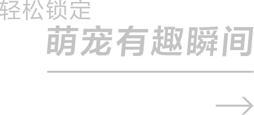 轻松锁定萌宠有趣瞬间