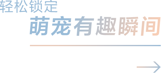 轻松锁定萌宠有趣瞬间