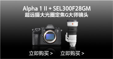 A1M2_SEL300F28GM