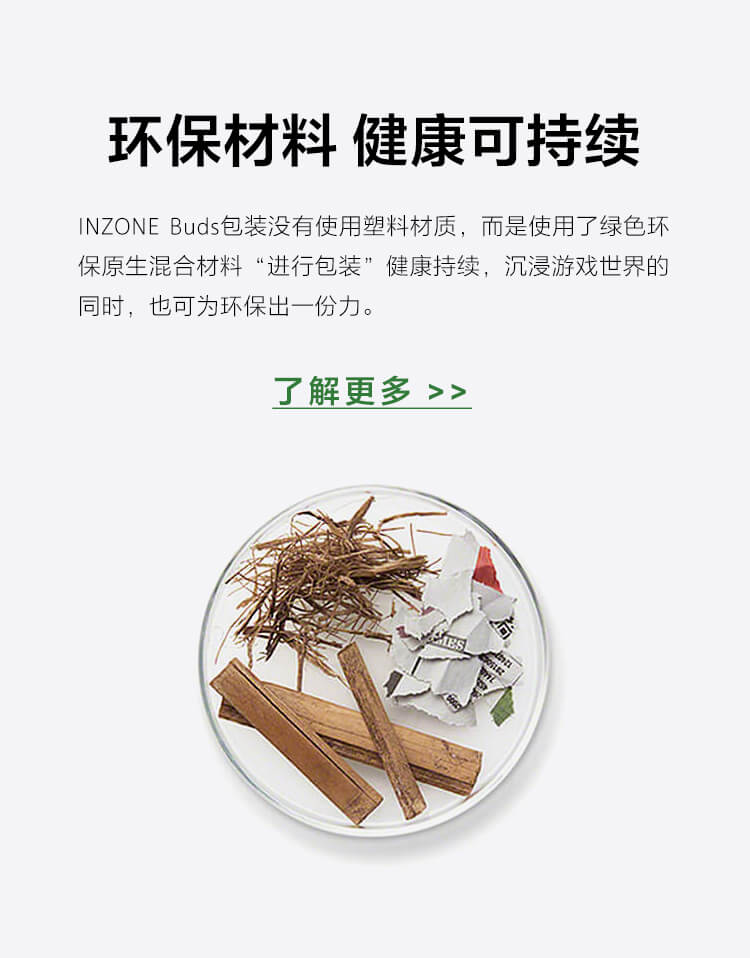 Buds索尼游戏豆