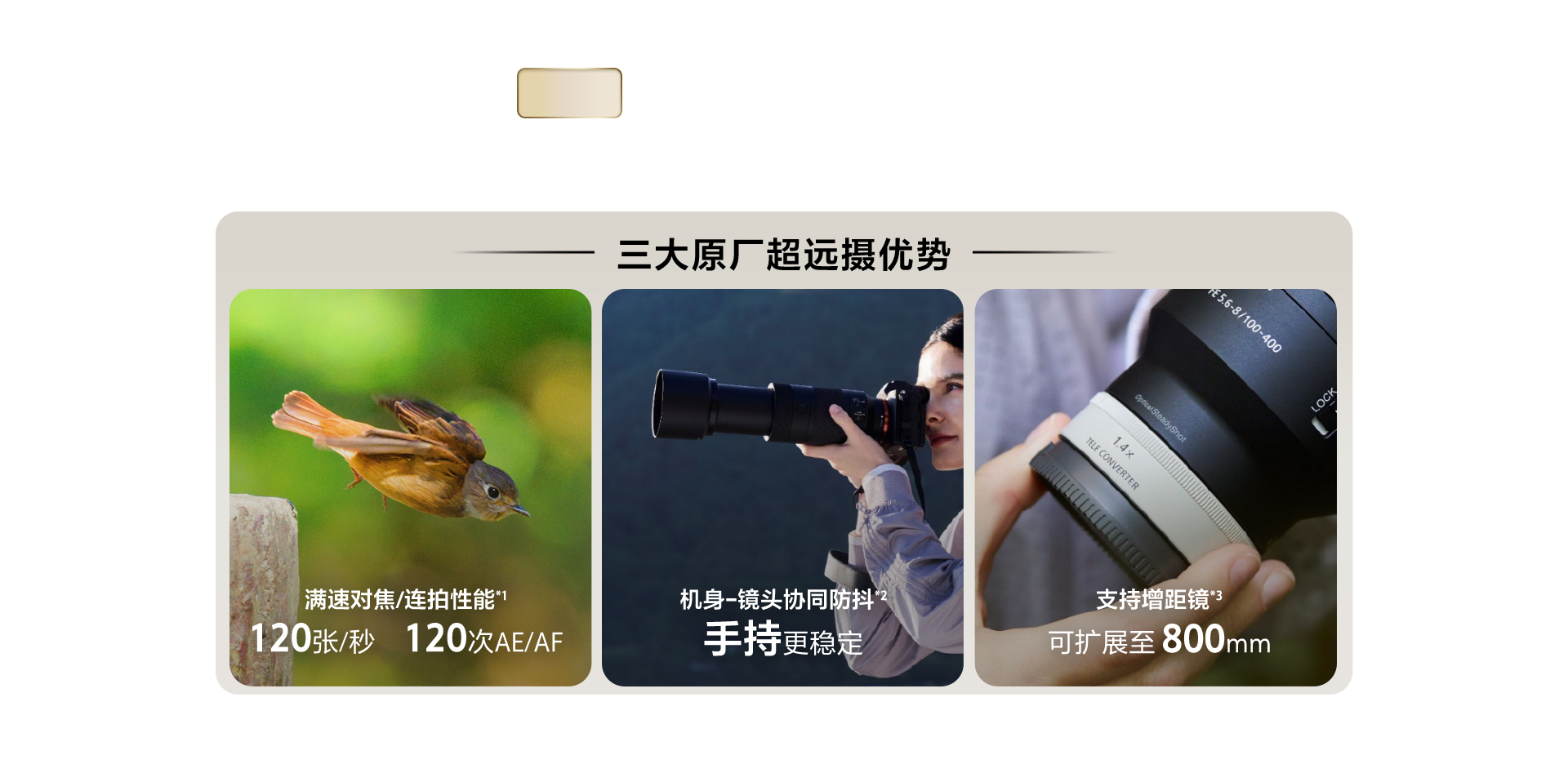 FE 100-400mm F5.6-8 OSS