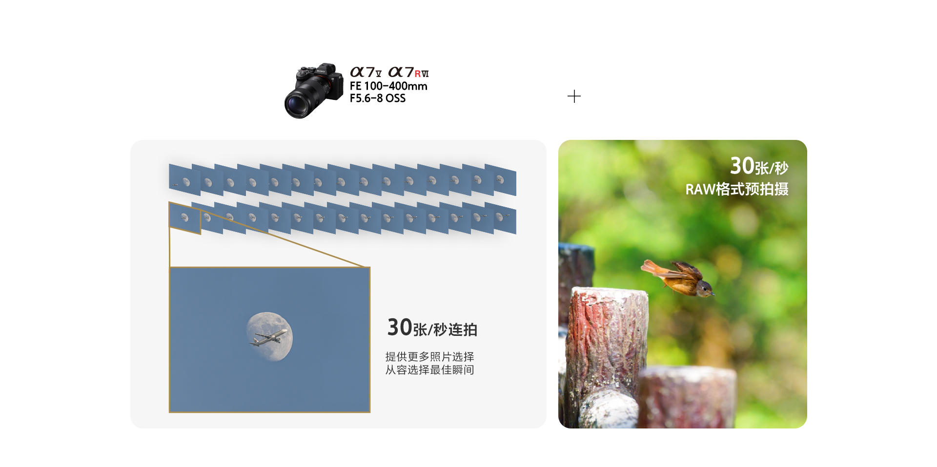 FE 100-400mm F5.6-8 OSS