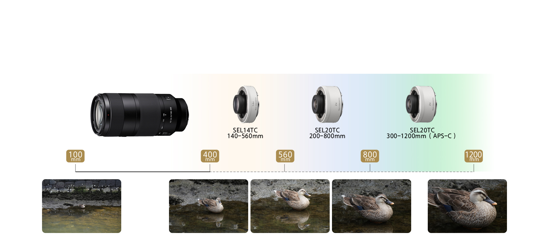 FE 100-400mm F5.6-8 OSS