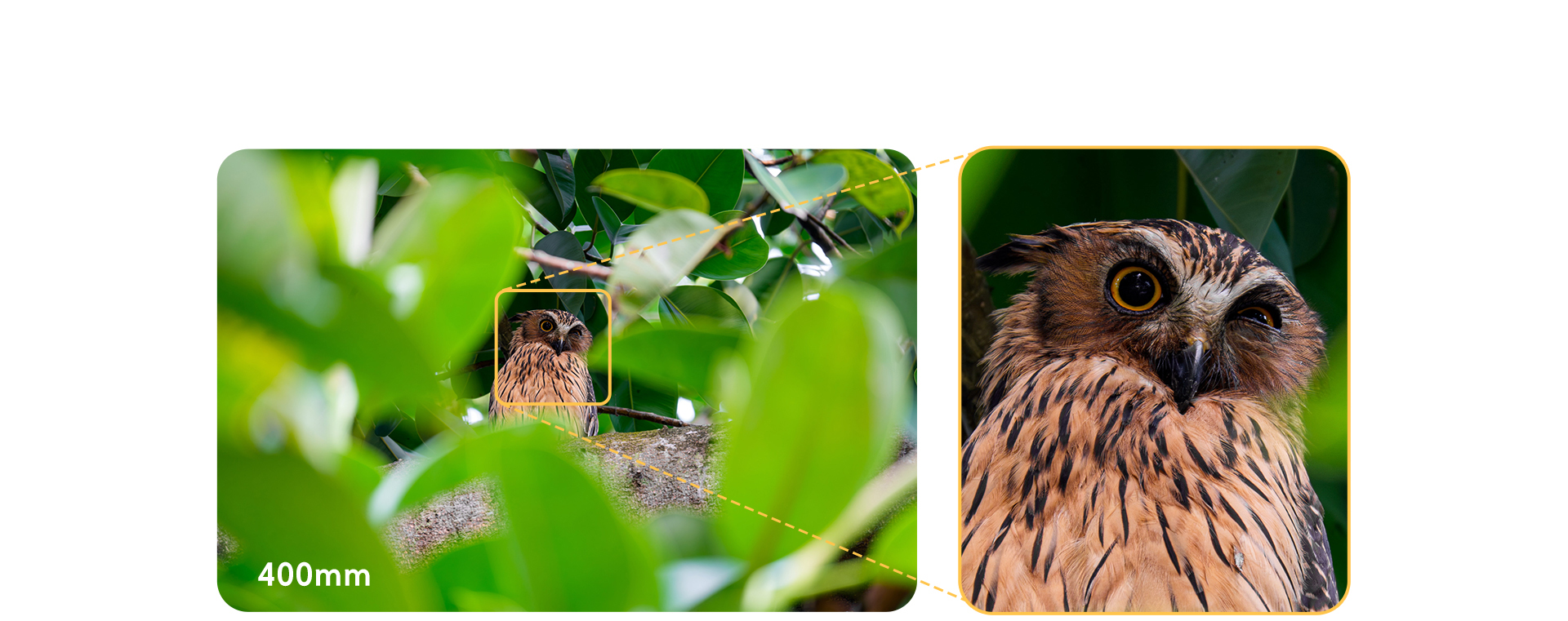 FE 100-400mm F5.6-8 OSS