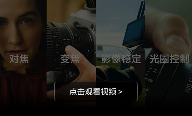 樣照展示