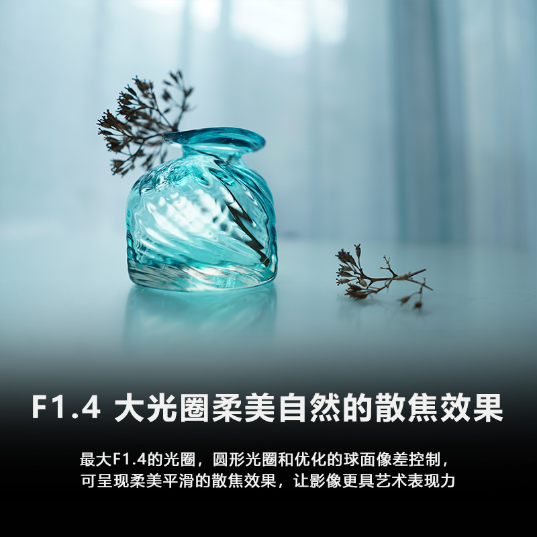 E 15mm F1.4 G 超广角定焦G镜头 (SEL15F14G) - 产品图
