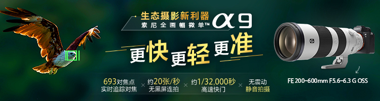 生态摄影新利器Alpha 9