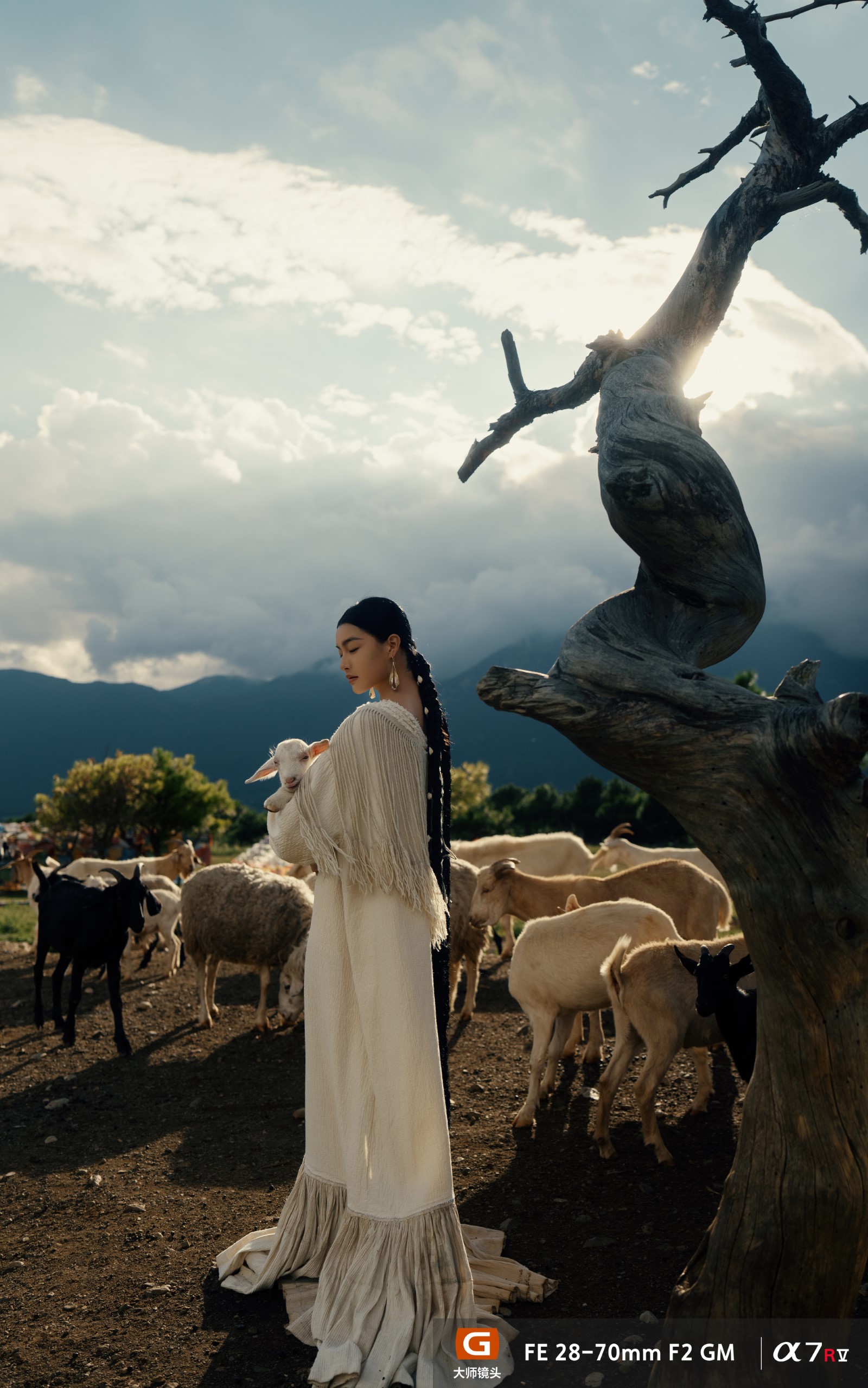 FE 28-70mm F2 GM样片欣赏