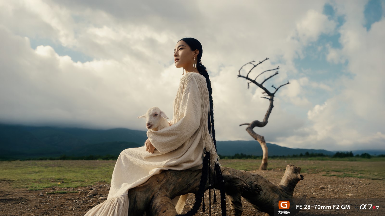 FE 28-70mm F2 GM样片欣赏