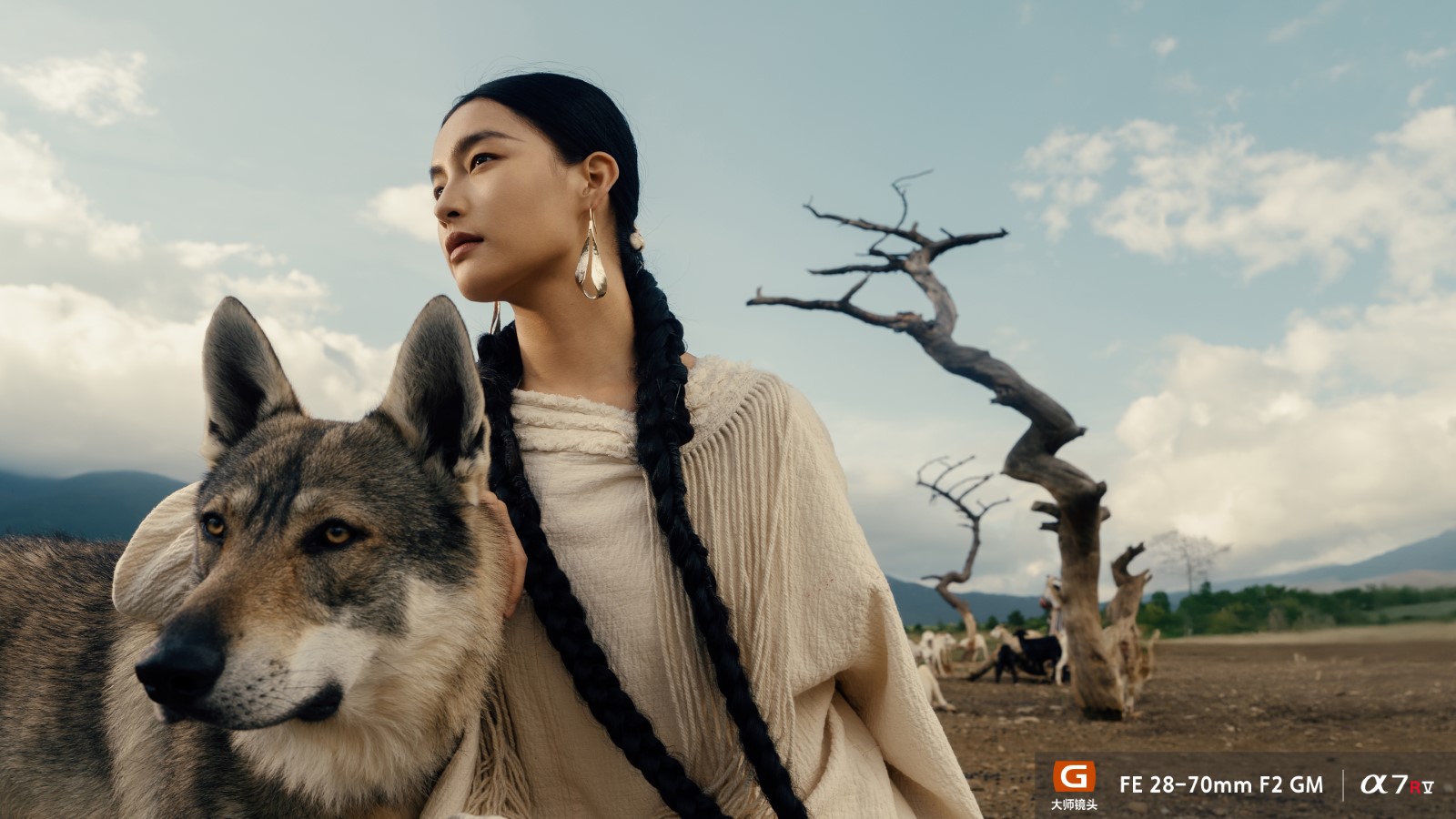 FE 28-70mm F2 GM样片欣赏