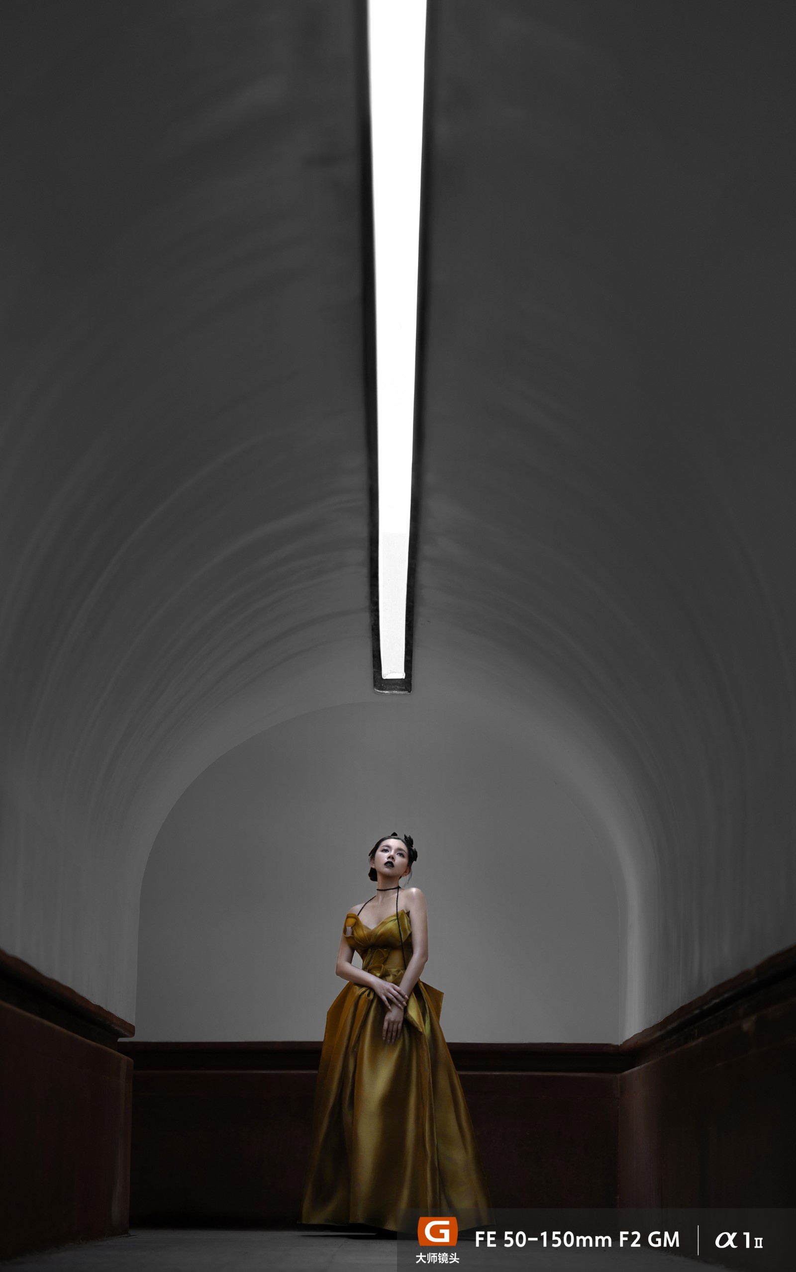 FE 28-70mm F2 GM样片欣赏